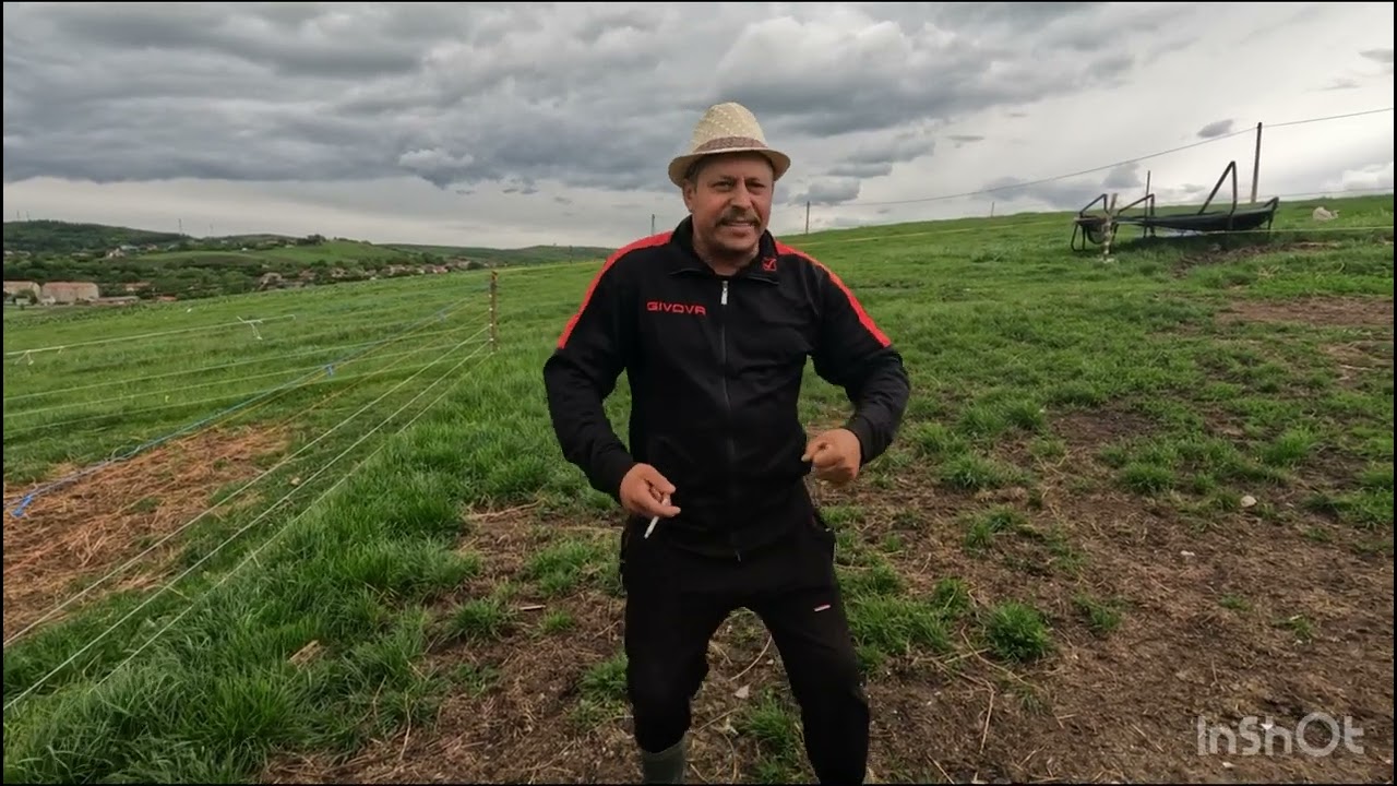 CAI 🐎 Dl PANCICA DIN SARMAS -UN IUBITOR DE ANIMALE