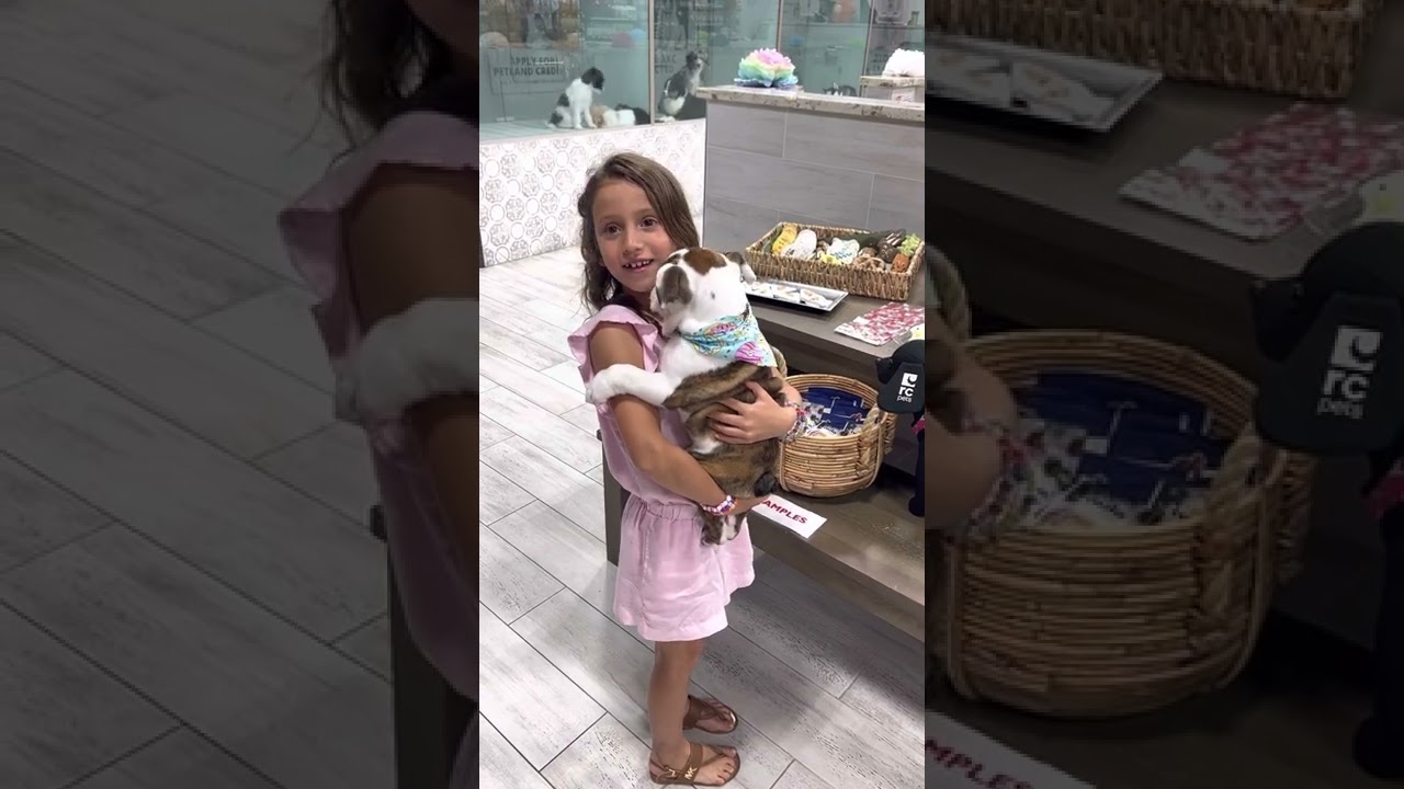 Bulldog Surprise… Wait for it!