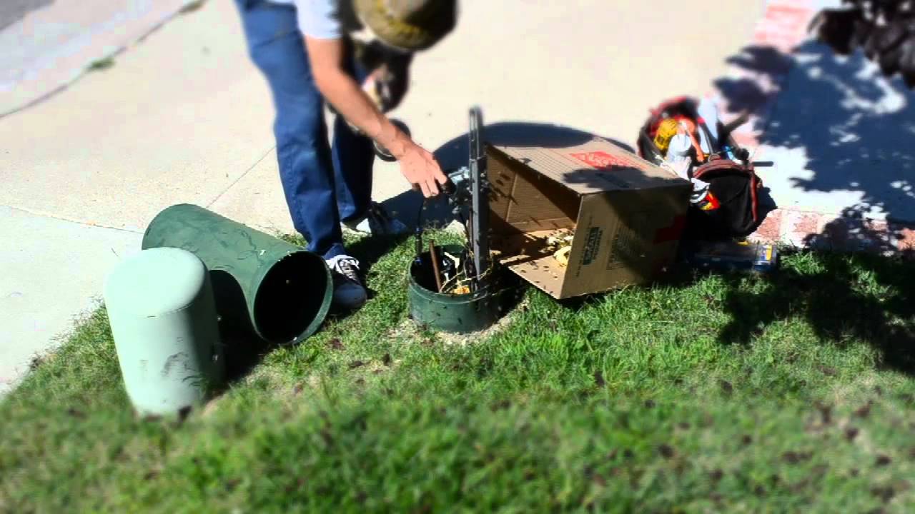 Live Honey Bee Removal