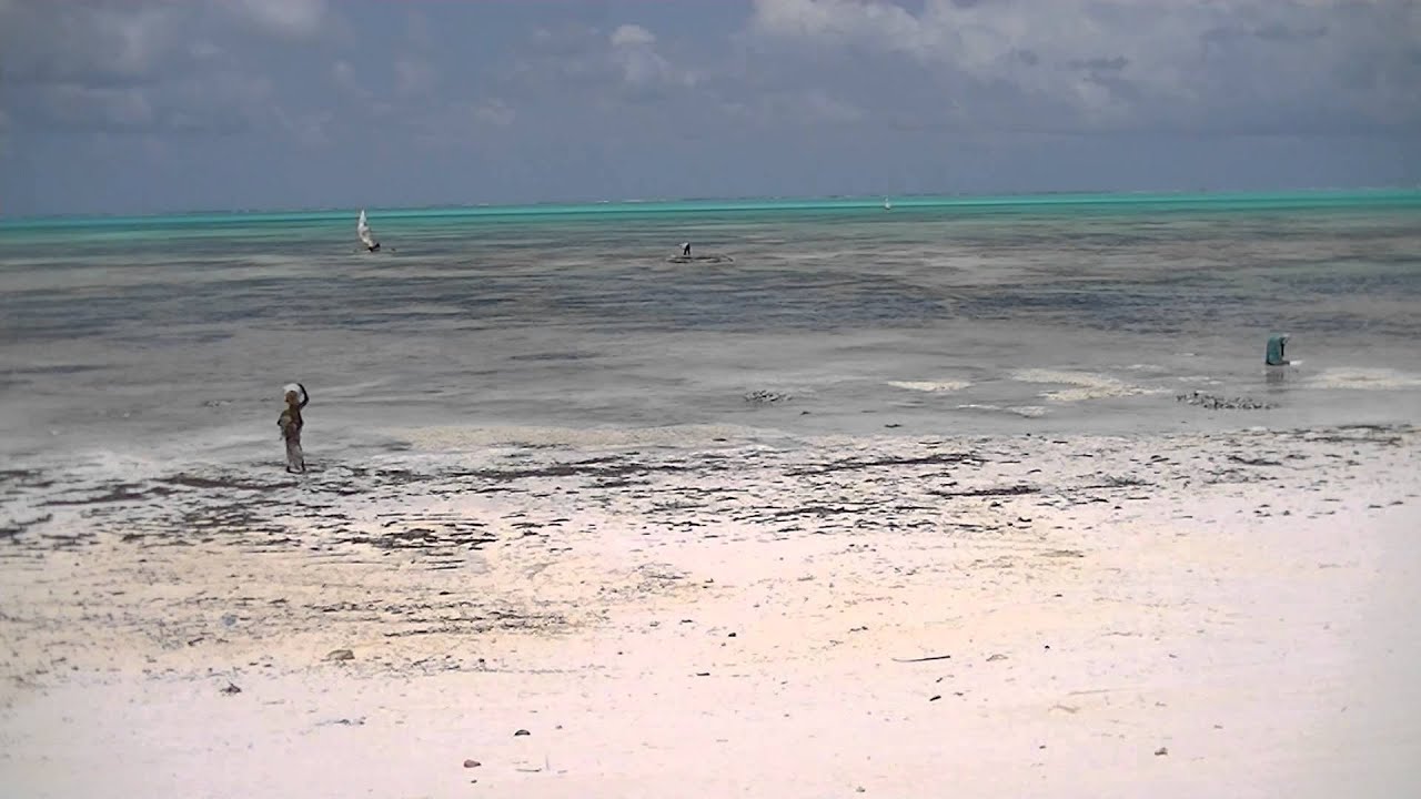 The tides of Zanzibar - one hour timelapse (Jambiani, Zanzibar - September 2012)