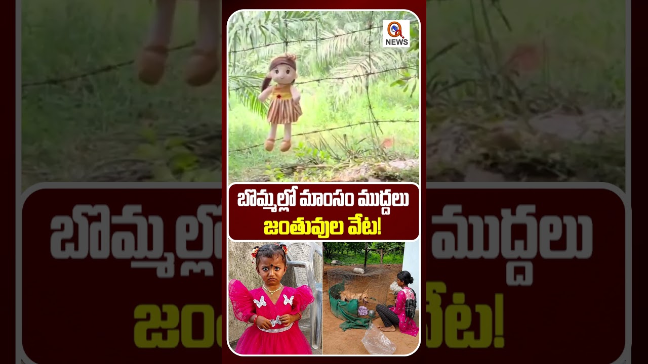 బొమ్మల్లో మాంసం ముద్దలు జంతువుల వేట! |  #girlmissing #latestnews #breakingnews #tuni #apnews