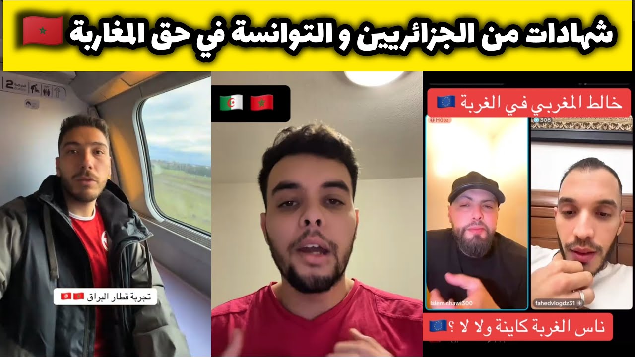 شهادات رائعة من توانسة 🇹🇳  جزائريين 🇩🇿  حق المغرب و المغاربة الذين عاشروهم في الغربة 🇲🇦