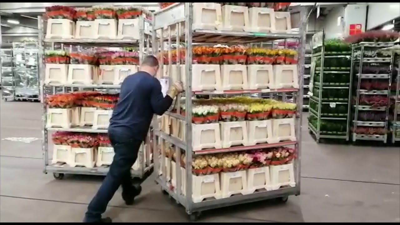 Nachtrit Transpa Oktober 2019