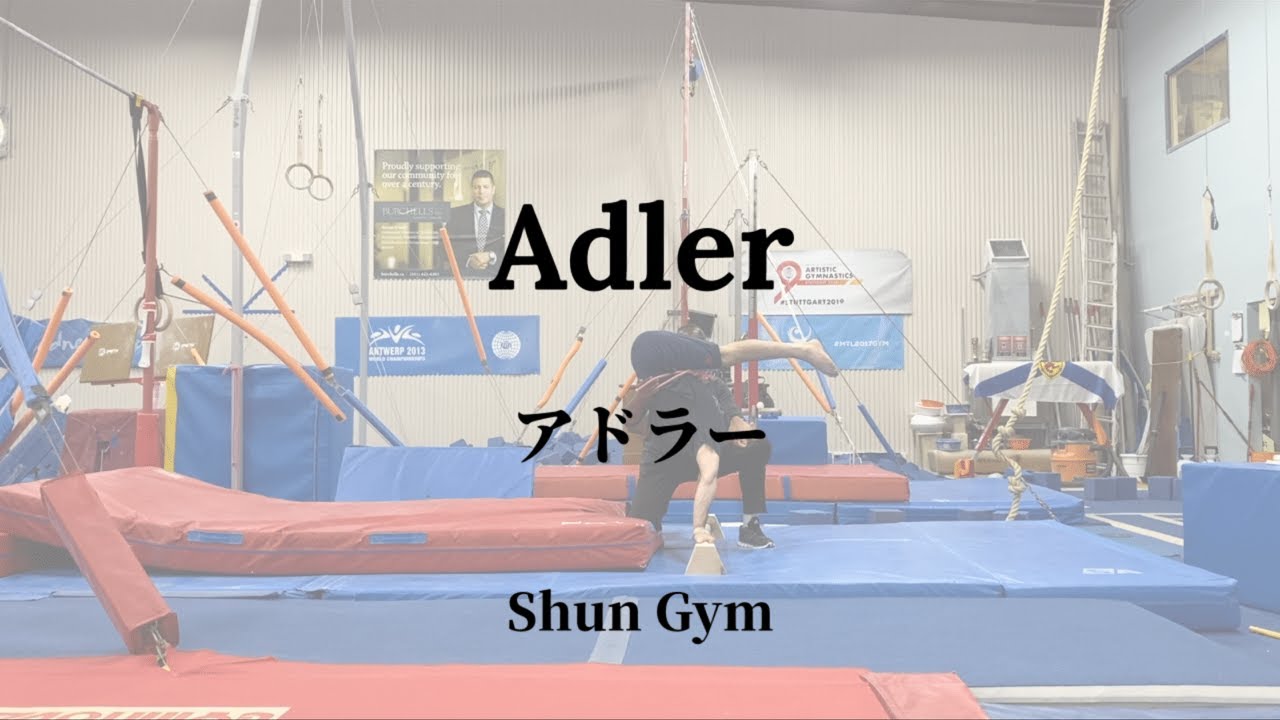 Adler ( Stoop ) Break down & Useful drills compilation