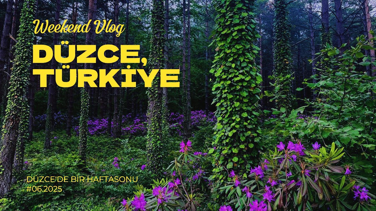 Düzce’de Bir Haftasonu | Fenerbahçe SK Tesisleri, Topuk Yaylası, Aydınpınar Şelalesi ve Akçakoca 🌲🐚🌊