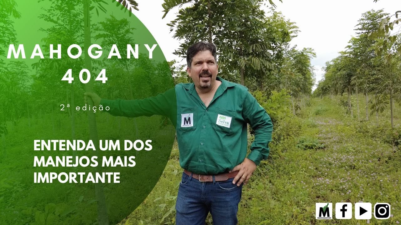 ENTENDA UM DOS MANEJOS MAIS IMPORTANTES DO MAHOGANY 404