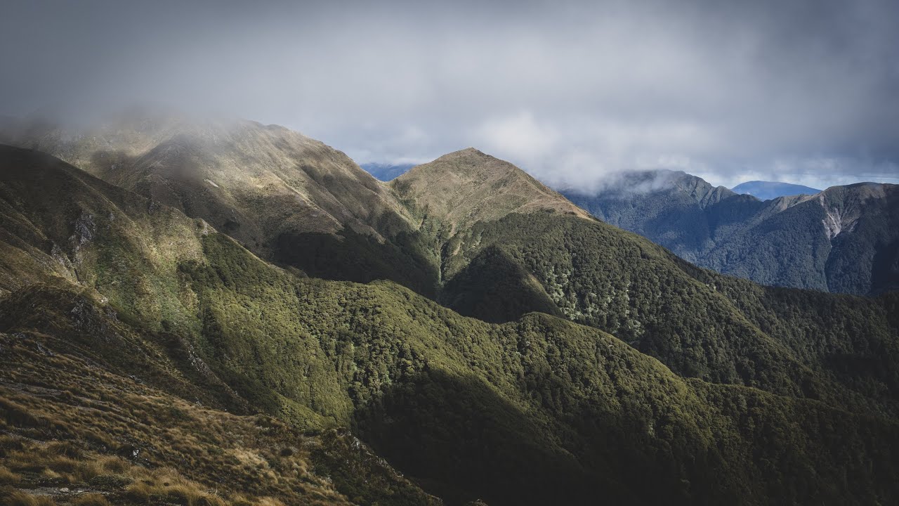 Tararua Forest Park - April 2024