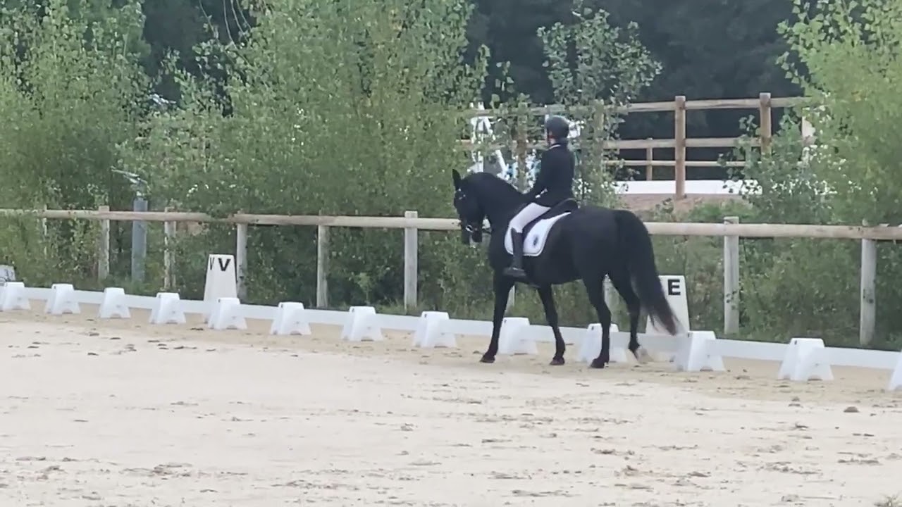 Cadarn d'Héolan / CCE Brignoles club élite