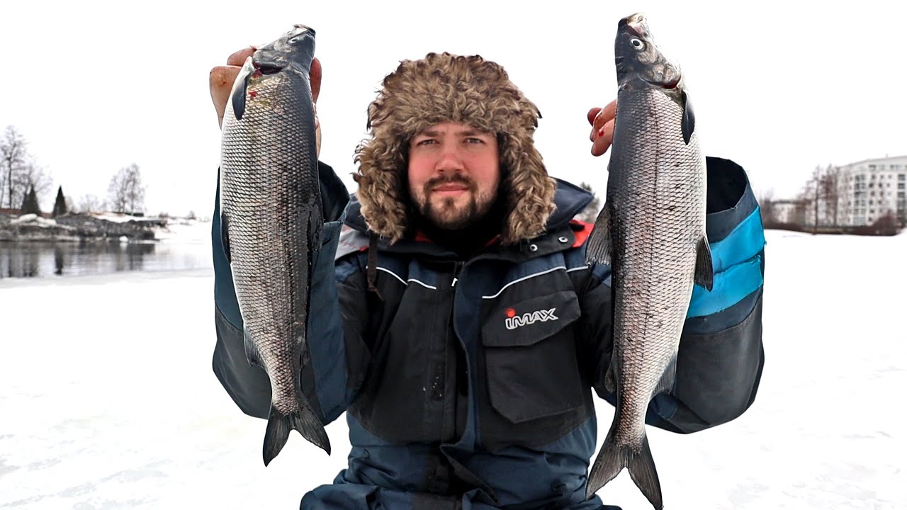 SIIKAPILKILLÄ OULUJOELLA