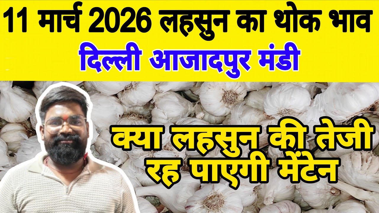 11 March 2026 | Today Garlic Market Price | Garlic Price The Shocking Prediction #mandirates