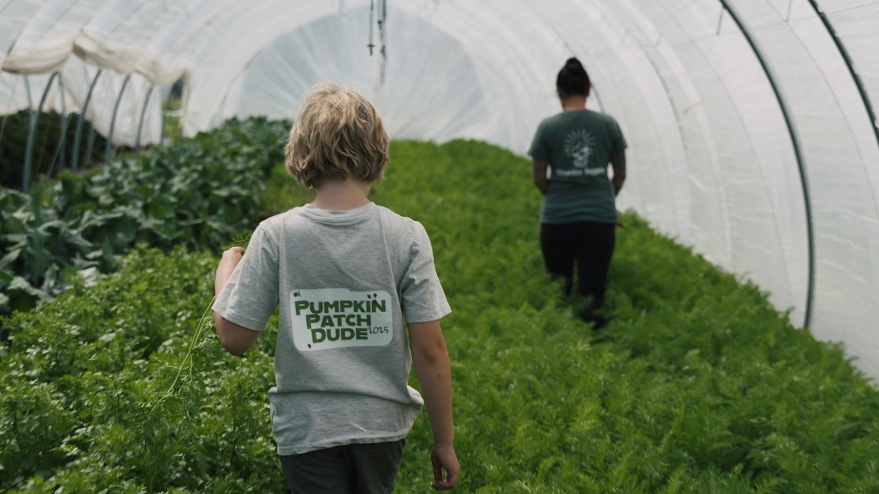 Local Farm in Vernon BC | Silverstar Veggies