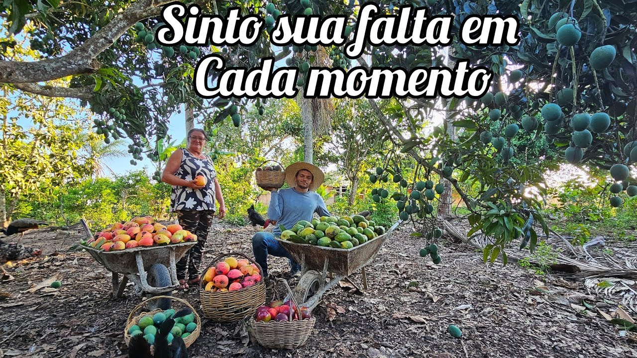 Há um ano atrás  eu vivia esse momento ,quanta saudade desses momentos 🥹