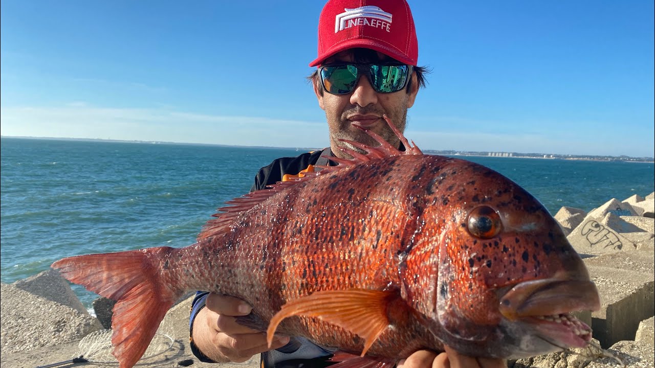 DIA DE PESCA CON SHIMANO ULTEGRA 2022 CON NOVEDADES RAUL MARIO SURFCASTING .
