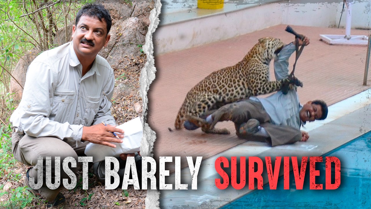 Man Saves School From Leopard Attack