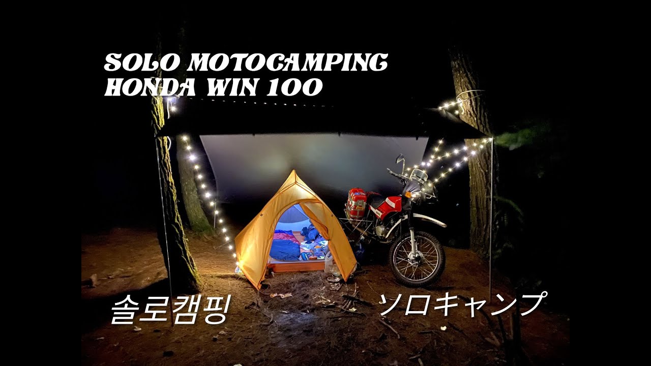 SOLO CAMPING • ASMR • HONDA WIN 100 • LOBSTER SOUP • RATION •PINE FOREST ソロキャンプ | 모토캠핑 | 솔로캠핑