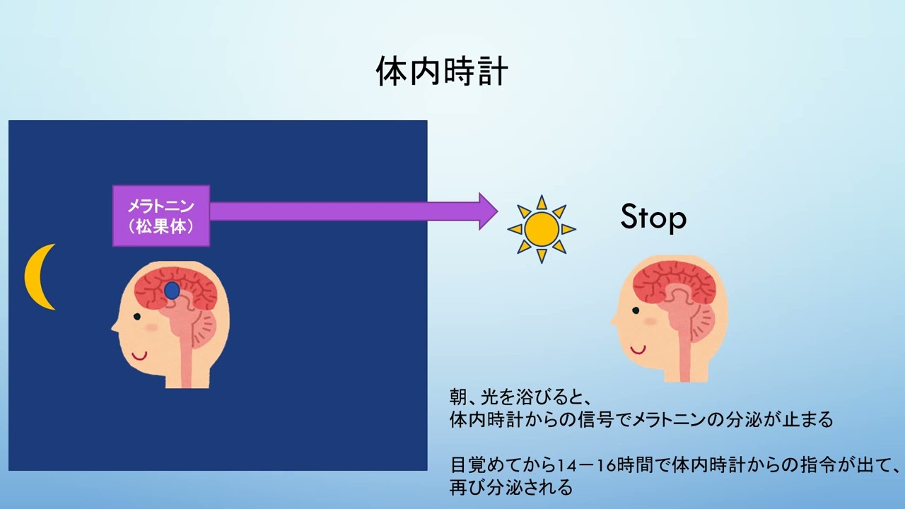 こどもの眠りのためにできること最終20260226 2