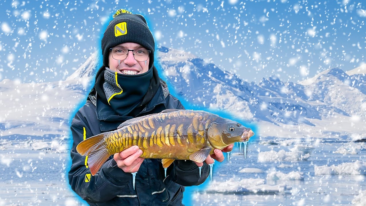 The REALITY Of Winter Match FISHING! | Makins Live Match Fishing