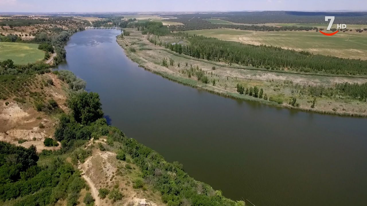 Parques naturales T1/E20: Reserva Natural Riberas de Castronuño – La vida a orillas del Duero