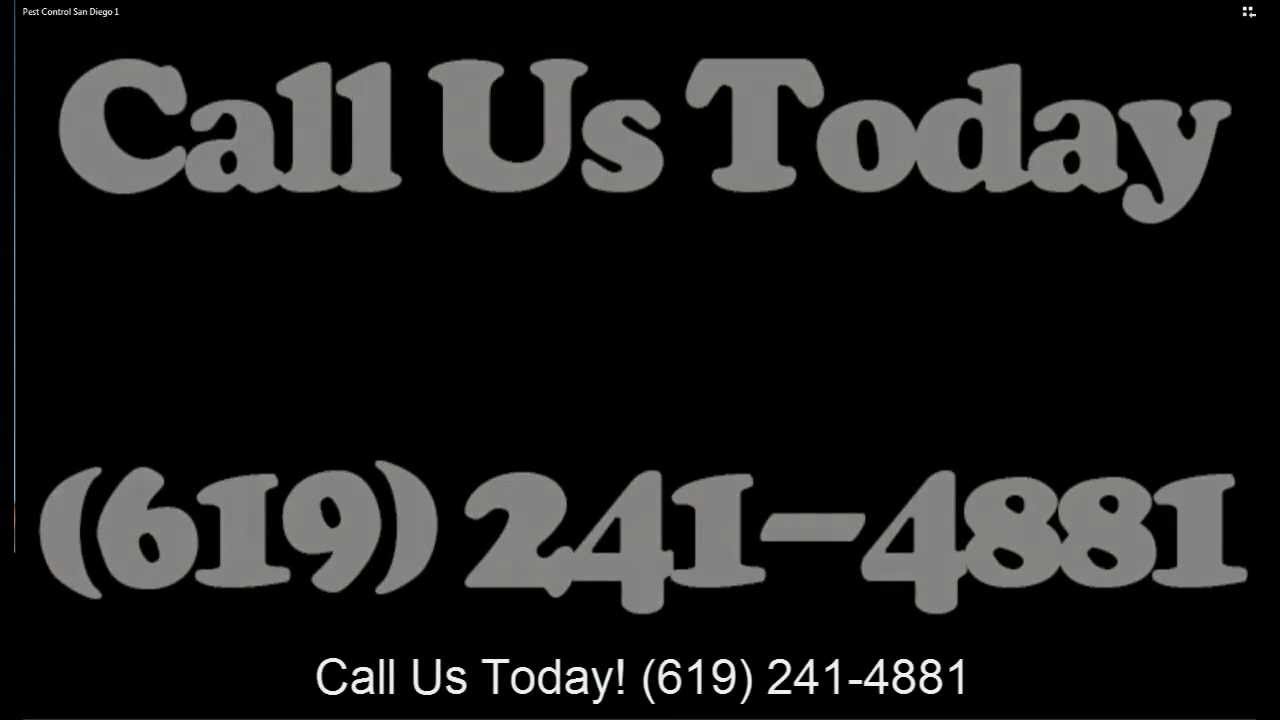 Pest Control San Diego | 619-241-4881 | San Diego Pest Control