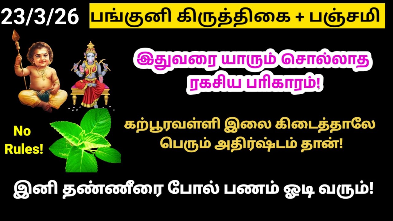 பங்குனி கிருத்திகை+பஞ்சமி கற்பூரவள்ளி இலை கிடைத்தால் பேர் அதிர்ஷ்டம்தான்|panamsera|kiruthigai|பஞ்சமி