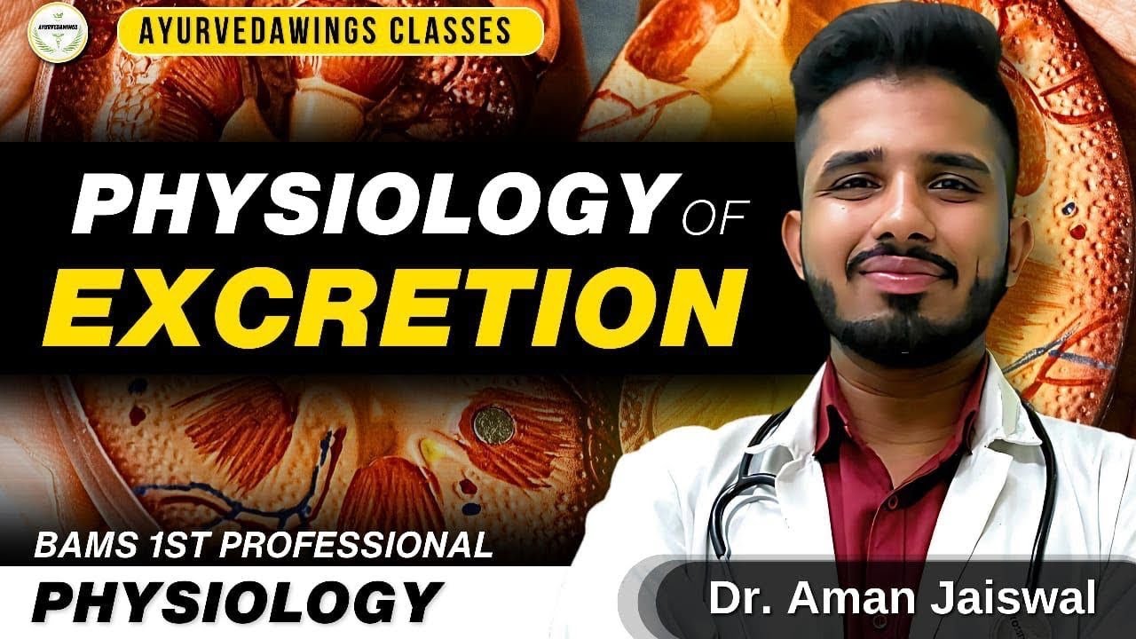 Functional Anatomy of Kidney || Functions of Kidney #physiology #kriyasharir #bams 