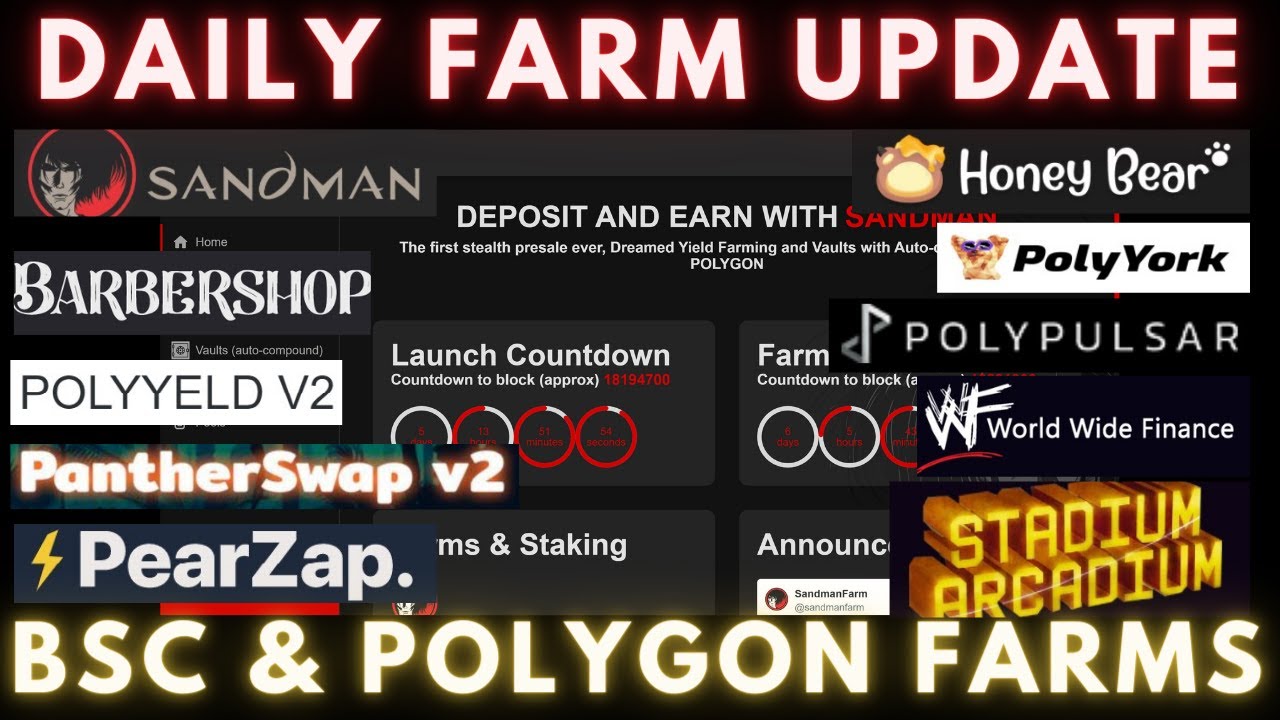 Daily Degen Farm Update | BSC & Polygon | Plus new L2 and V2 info