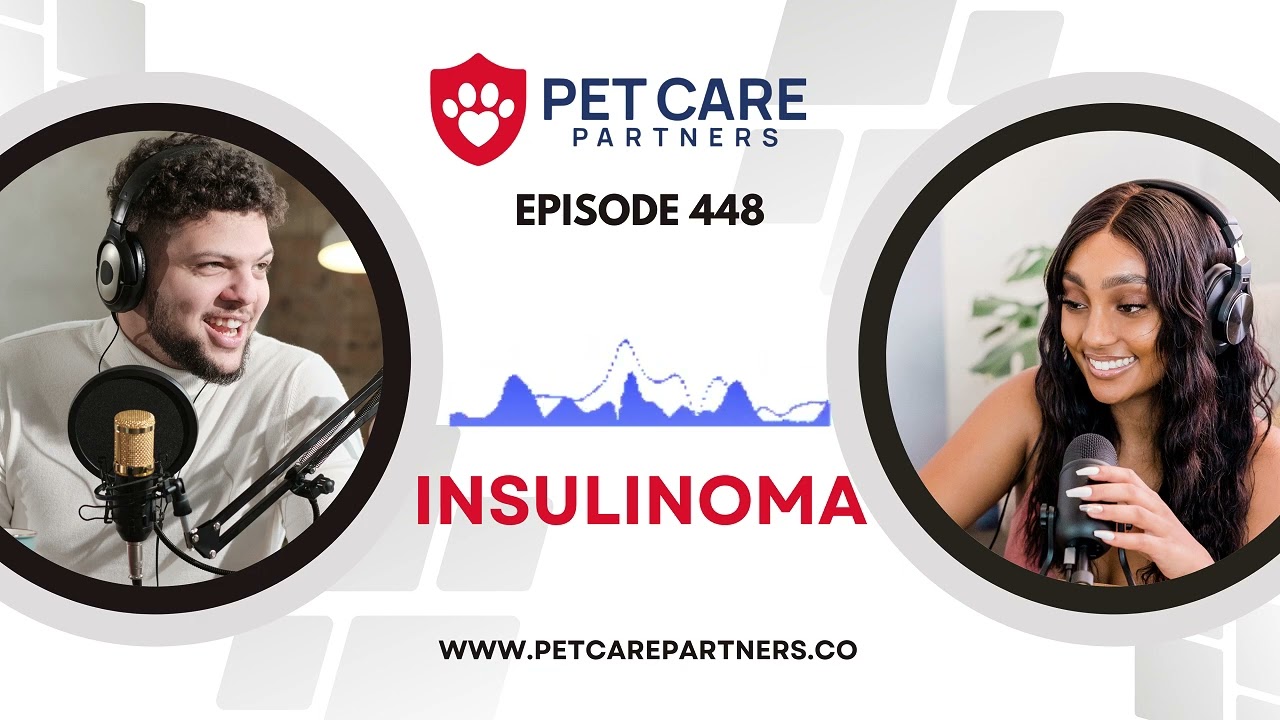 EP 448: Insulinoma in Dogs – Diagnosis, Surgery & Long-Term Management | Pet Care Partners Podcast