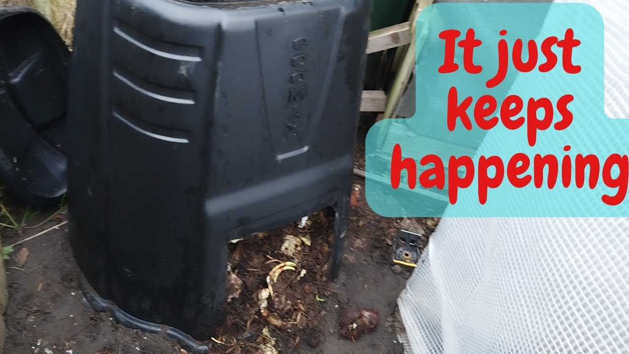 problems on the #allotment