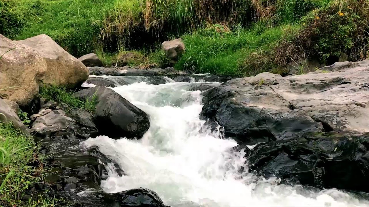 Nature White Noise Ambience for Peace of Mind, Wellness