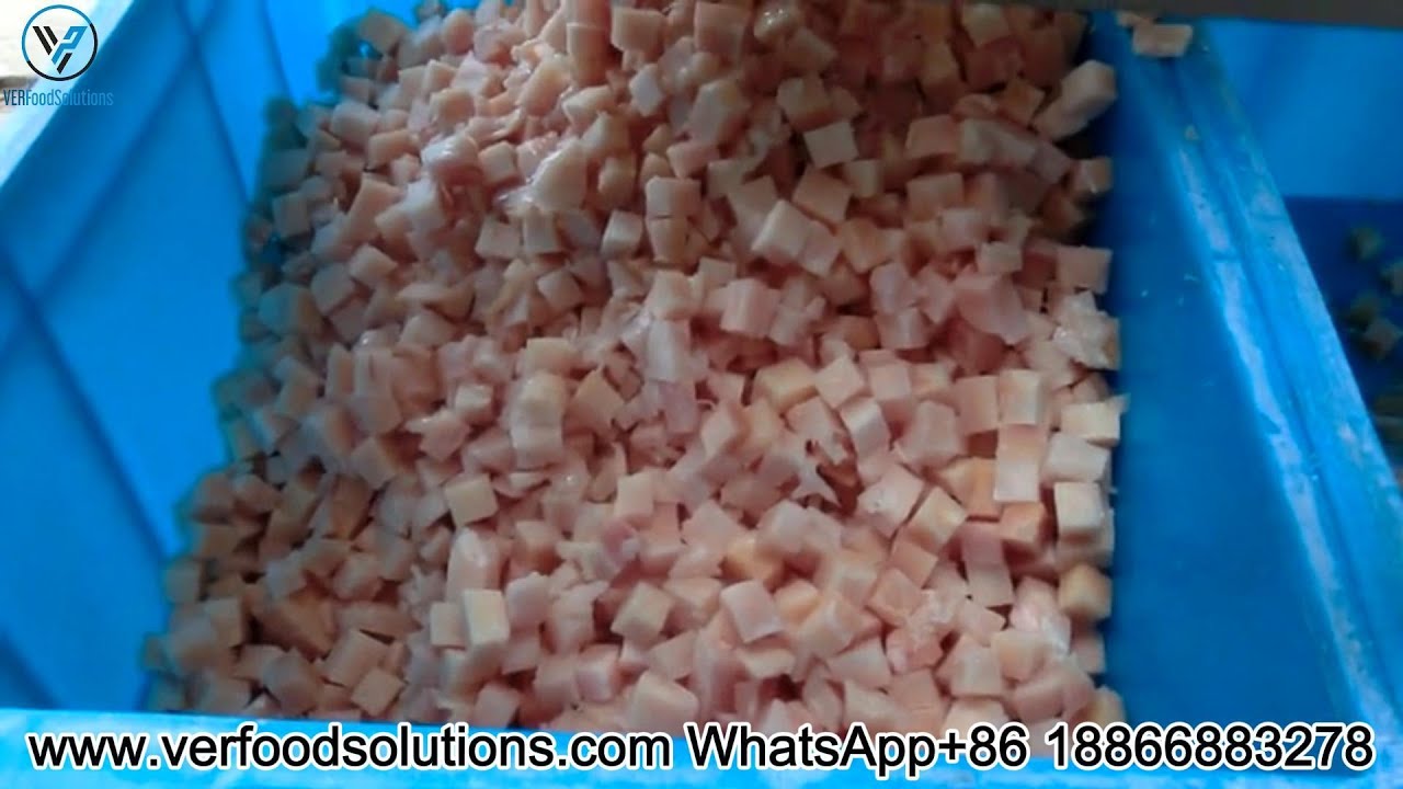 Machine for Cutting Frozen Chicken Breasts into Cubes | VER Food Solutions.
