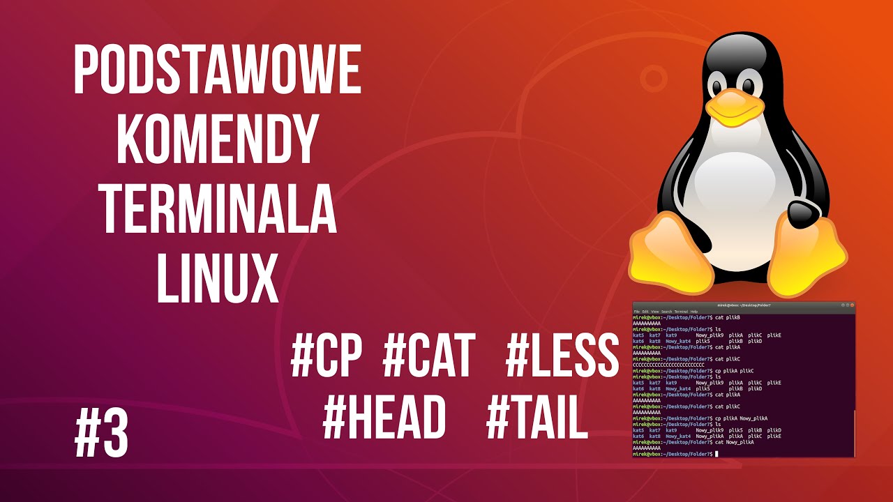 Linux podstawowe komendy terminala cz. 3 (#ls #cp #cat #less #head #tail)