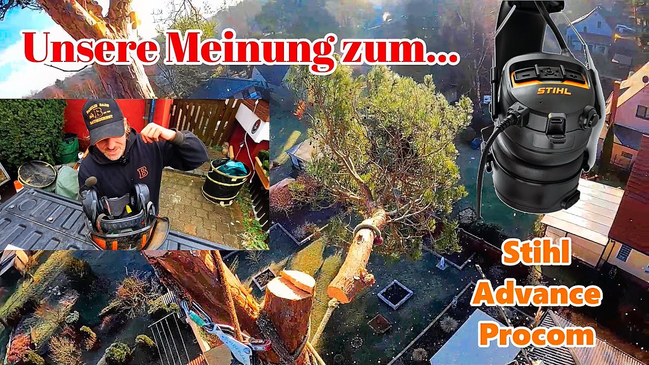 Das Stihl Advance Procom im Live Test ☝🏻 Bades Baumdienst 🌳