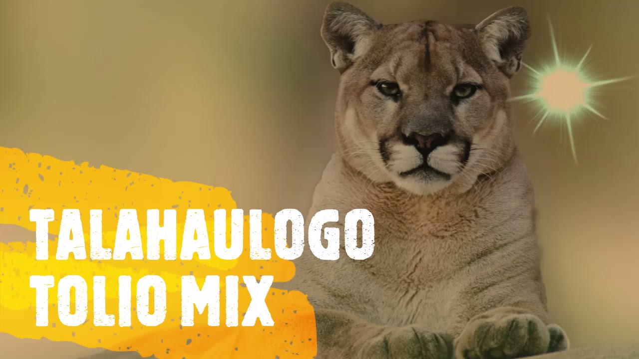 TOLIO MIX  TALAHAULOGO