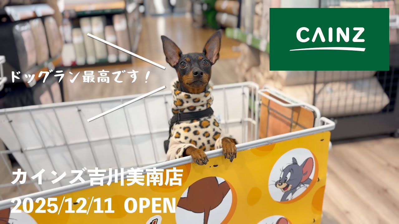 OPEN前に潜入！次世代型店舗カインズ吉川美南店で買い物してきた｜駅近・駐車場完備で便利、ドッグラン最高