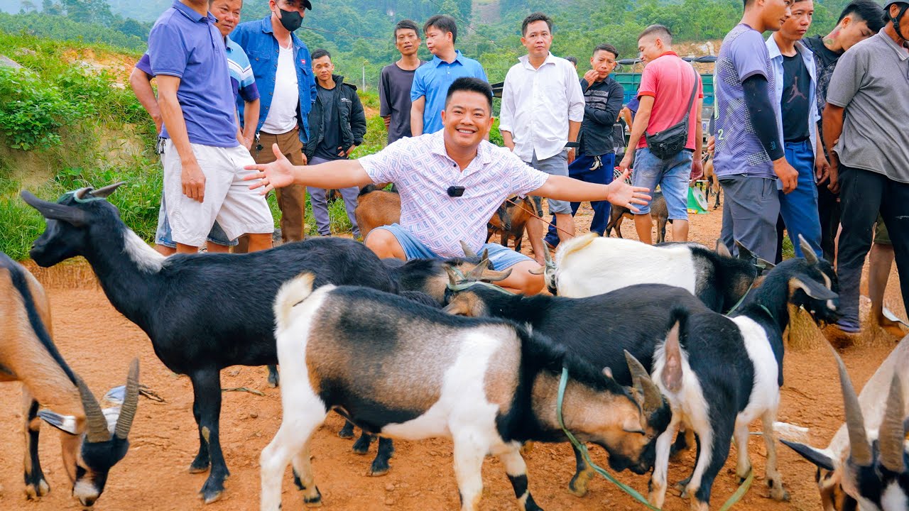 SAPA TV | CƯỜI KHÔNG NHẶT ĐƯỢC MỒM THI CHẶT THỊT LỢN CÓ MỘT KHÔNG HAI TẠI CHỢ PHIÊN CỐC LY