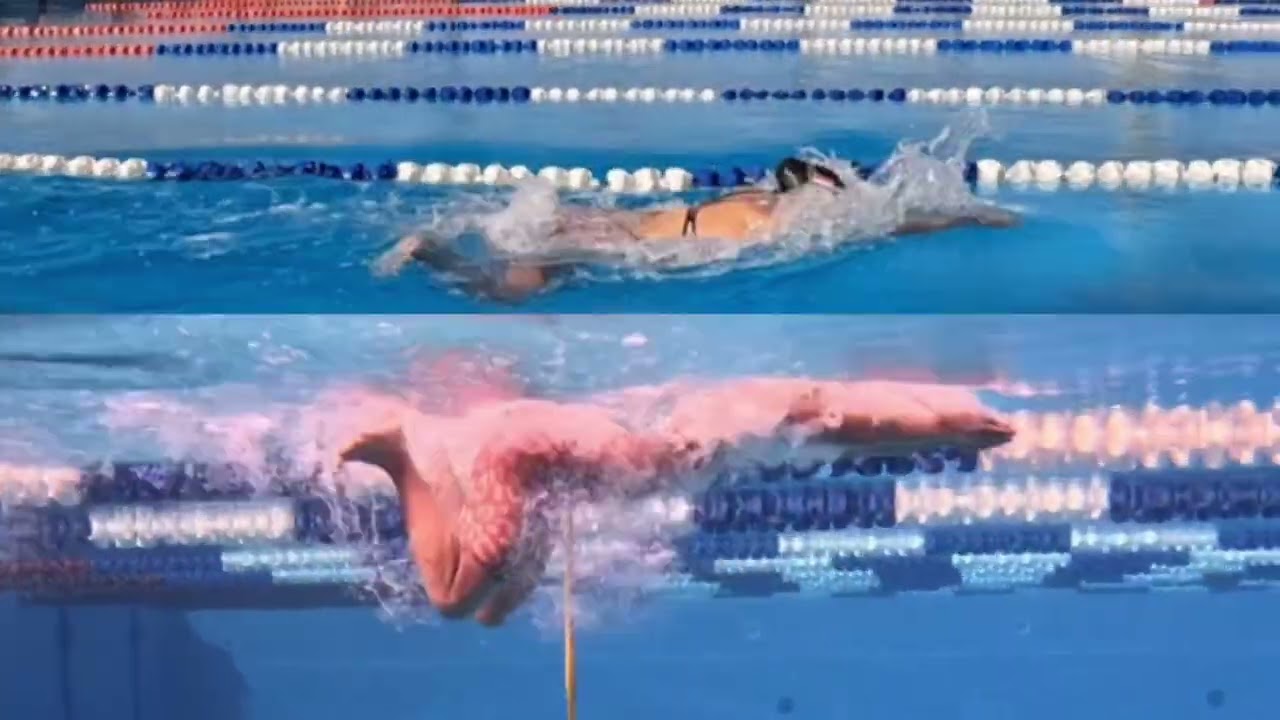 Swim analysis 