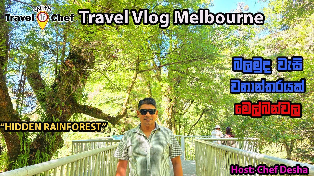 Travel with Chef – Mt Donna Buang Adventure/Rain forest Melbourne