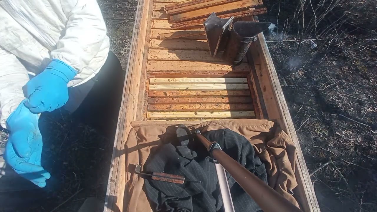 Невелика сім'я ,добре перезмувала