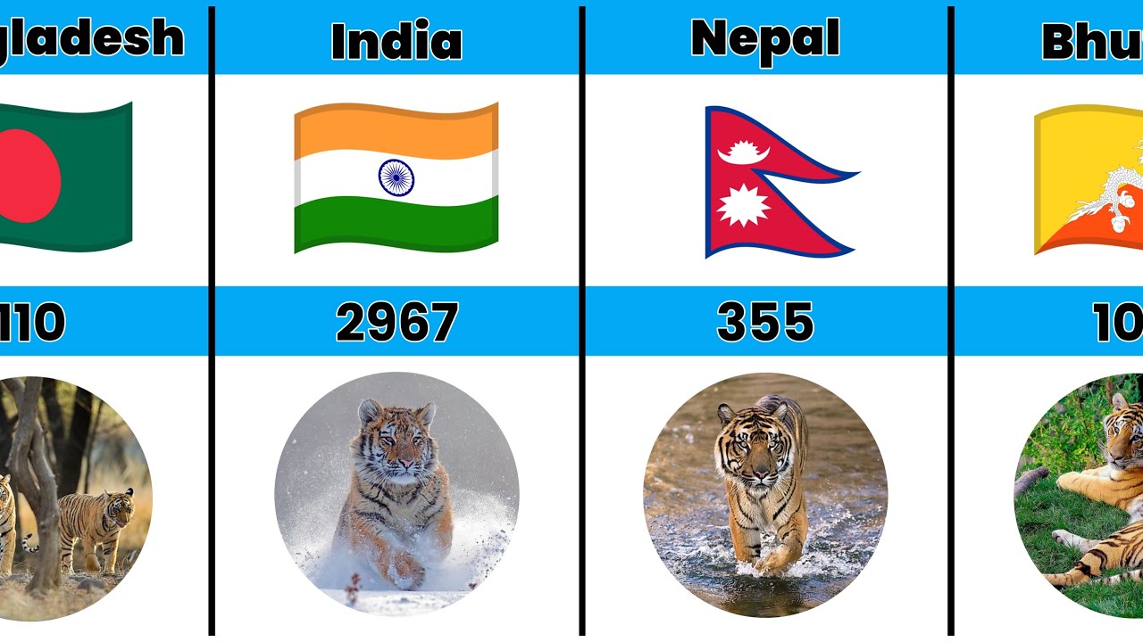 Tiger Population By Countries