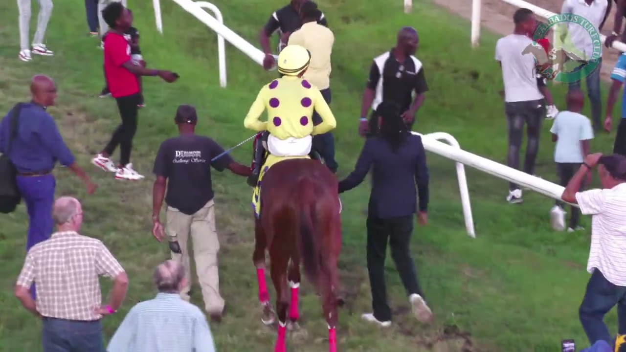 BTC RACE DAY 29 NOV 2025    RACE 7