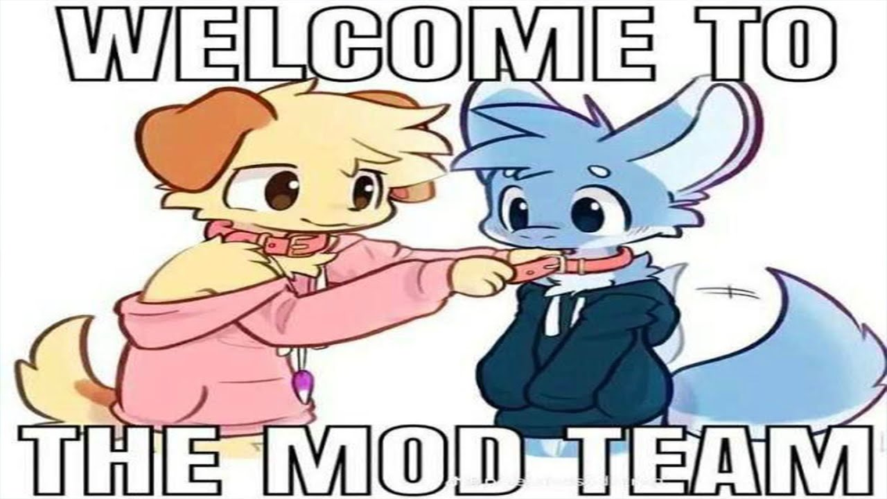 r/Furry_IRL Мемы, которые... эмм... ИНТЕРЕСНЫЕ!