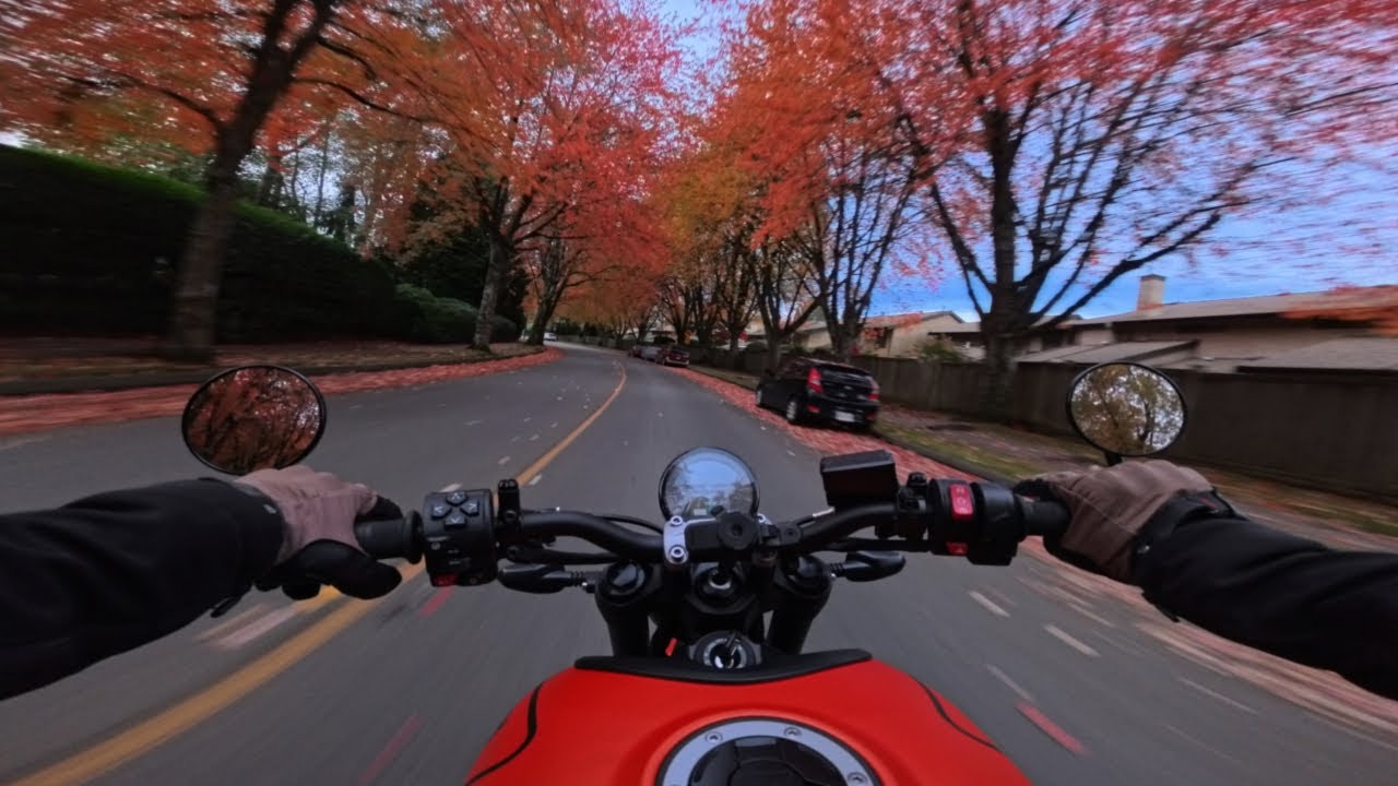 Triumph Trident 660 | A Day Without Rain in Autumn | Raw Engine Sound | POV | 4K