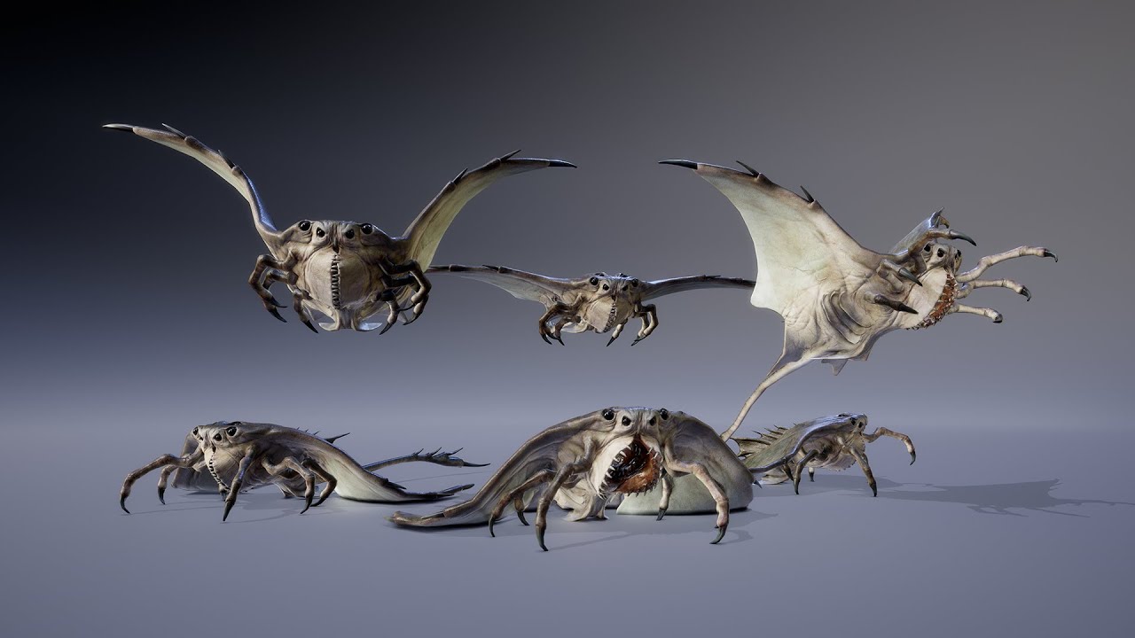 Pteromahre Showcase