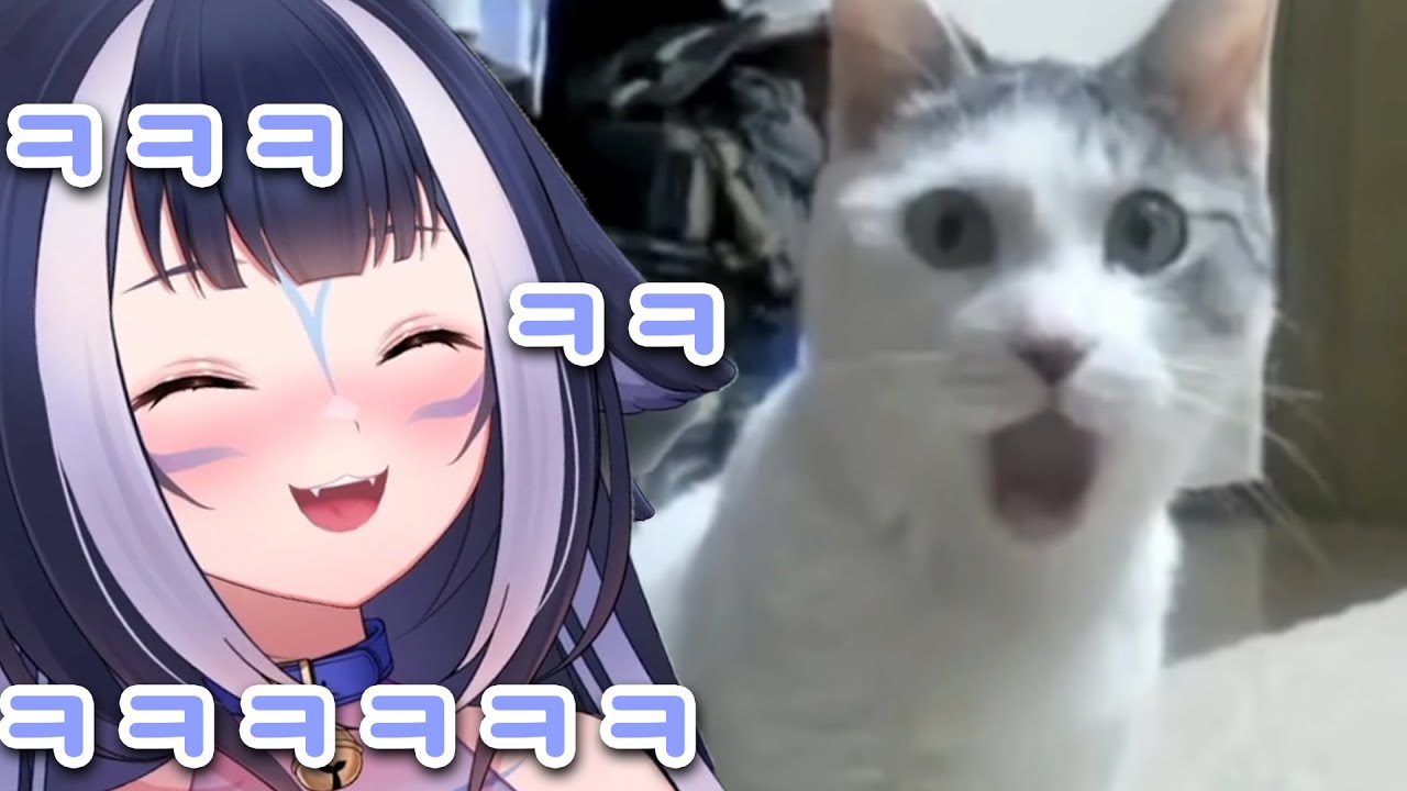 고장난 고양이 영상을 본 릴리