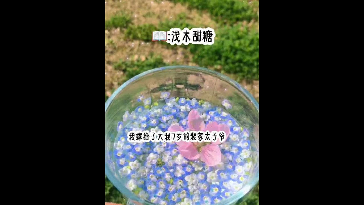 书茗《浅木甜糖》我嫁给了大我七岁的裴家太子爷，14岁我就住进了裴宅，他会给我扎小辫，开家长会，检查作业，以至于多年后仍有人打趣，说我是男人又当爹又当妈养大的。#我要上热门我上热门热门热门热门 #超爆