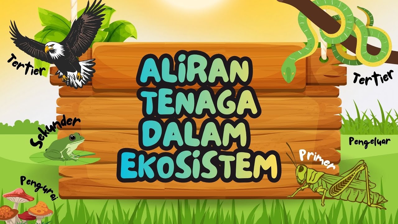 Bab 2 Aliran Tenaga Dalam Ekosistem Sains Tingkatan 2 | Ekosistem