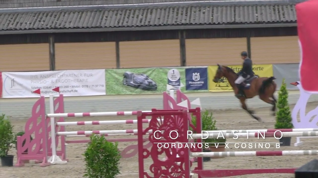 Cordasino - National Show Wachtberg Adendorf, 20220924