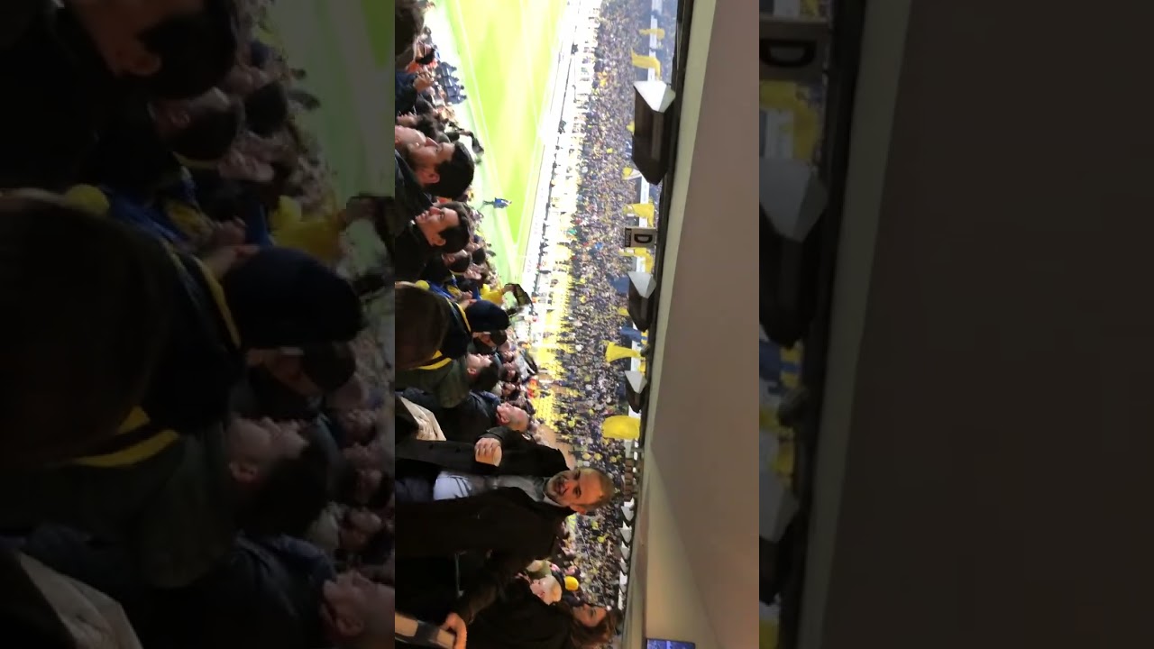 Fenerbahçe vs Gençlerbirliği 