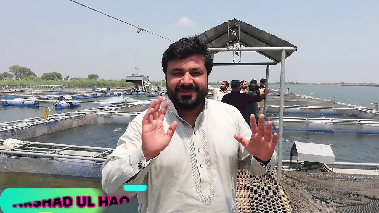Aquaculture Cage Fish Farming in Pakistan|Successful Cage Fish Farming| Complete informative Video