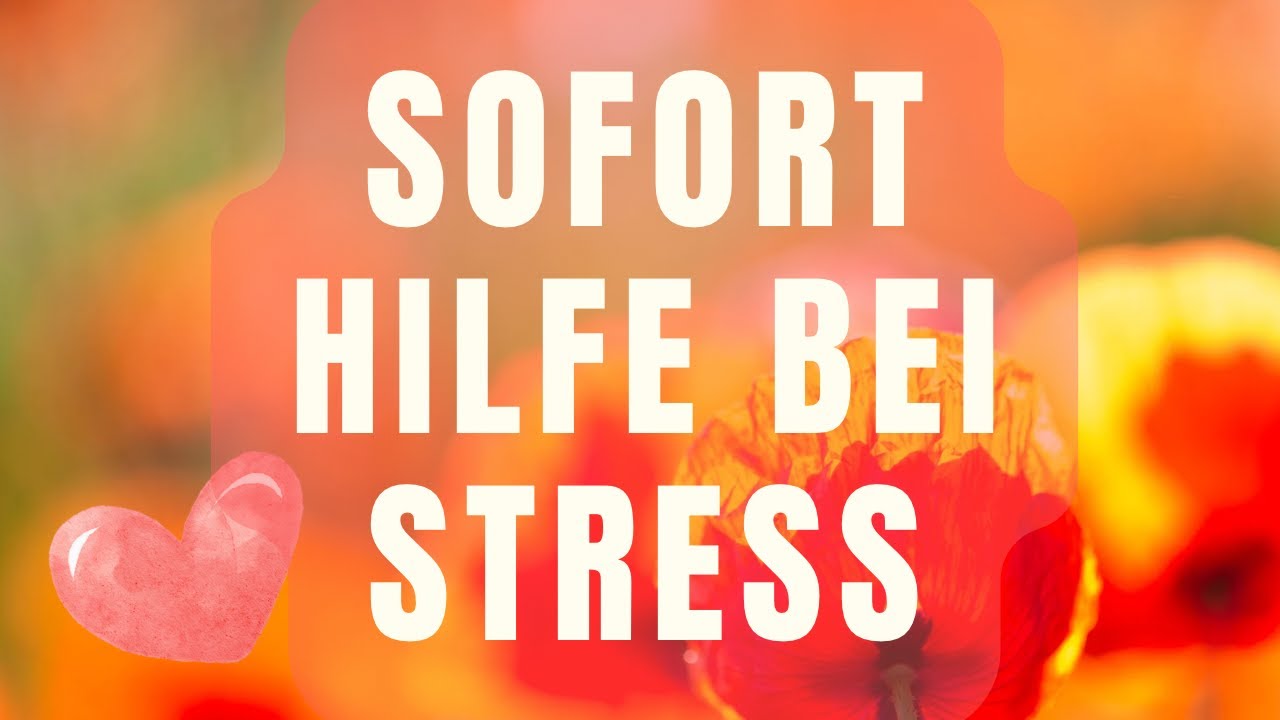 Die 5 wirksamsten Tipps für Gestresste, um sofort Stress abzubauen und zu entspannen